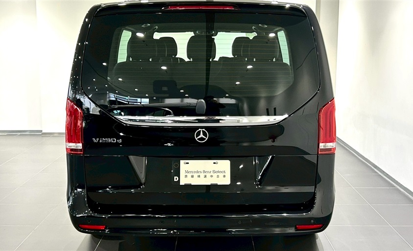 V 250 d