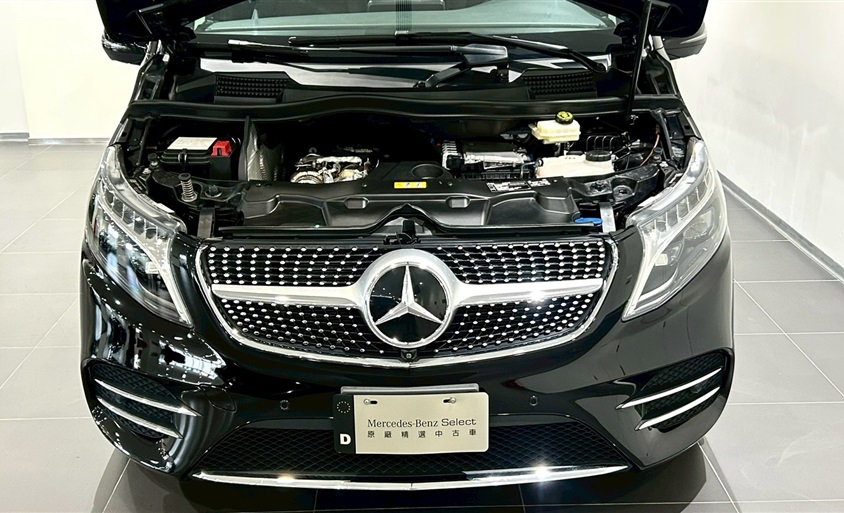 V 250 d